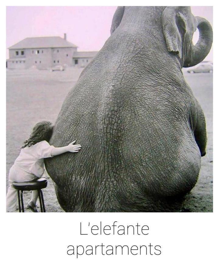 Elefante Appartamenti Pescara Exteriör bild